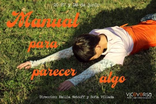 Poster de Manual Para Parecer Algo