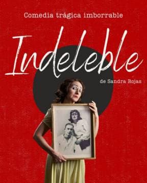 Poster de Indeleble