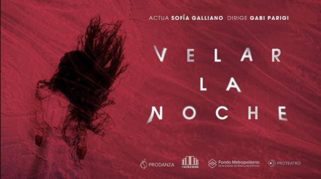 Poster de Velar la noche