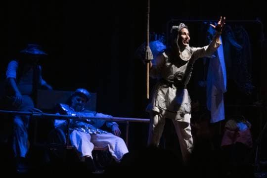 Dulcinea, locura quijotesca